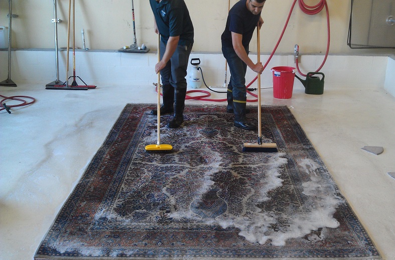 Carpet Deep Cleaning