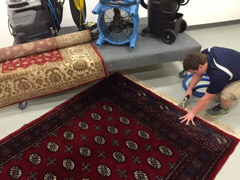 Rug Cleaning – D&G Carpet Cleaning