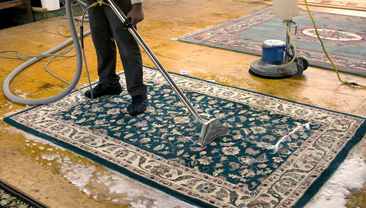 springfield lakes carpet cleaning